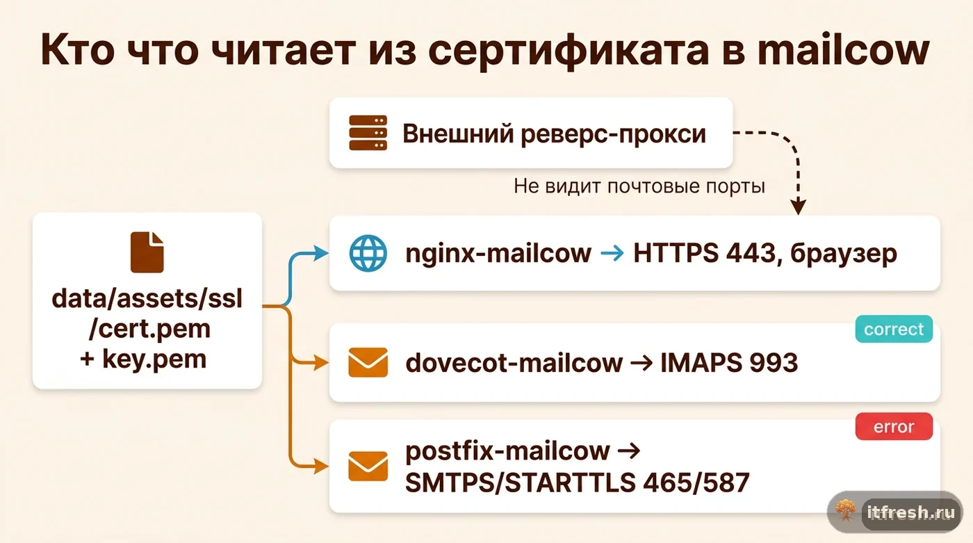 Схема: nginx, dovecot и postfix читают один сертификат из data/assets/ssl, но внешний реверс-прокси не связан с почтовыми портами