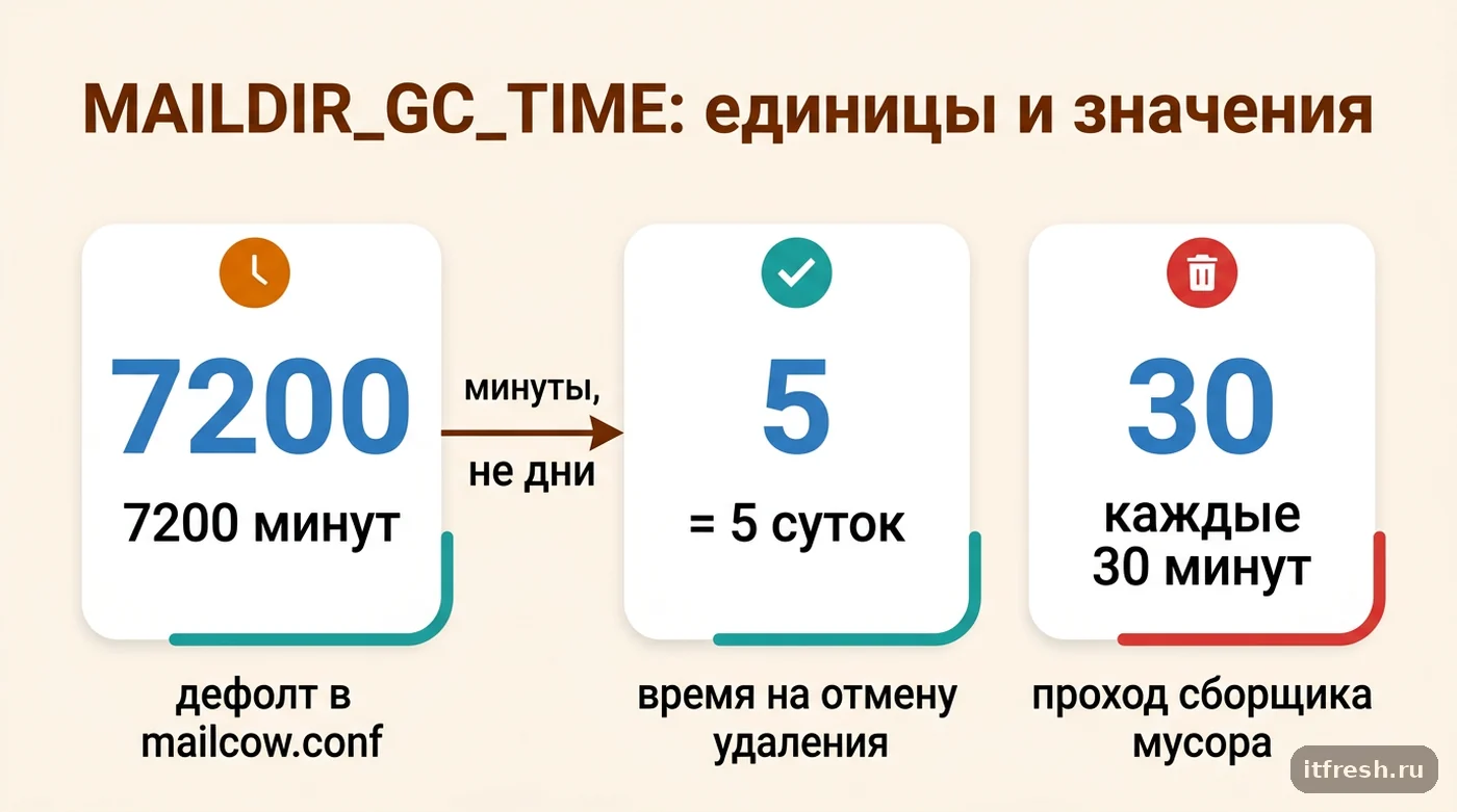 Инфографика значений MAILDIR_GC_TIME в mailcow: 7200 минут по умолчанию равно 5 суткам, проверка раз в час