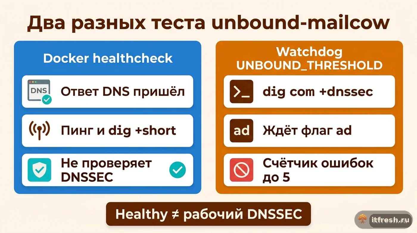 Сравнение docker healthcheck и watchdog UNBOUND_THRESHOLD для unbound-mailcow: разные проверки DNS и DNSSEC