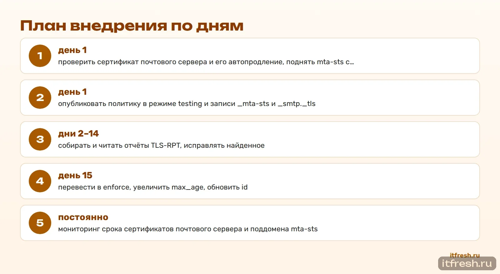 План внедрения по дням