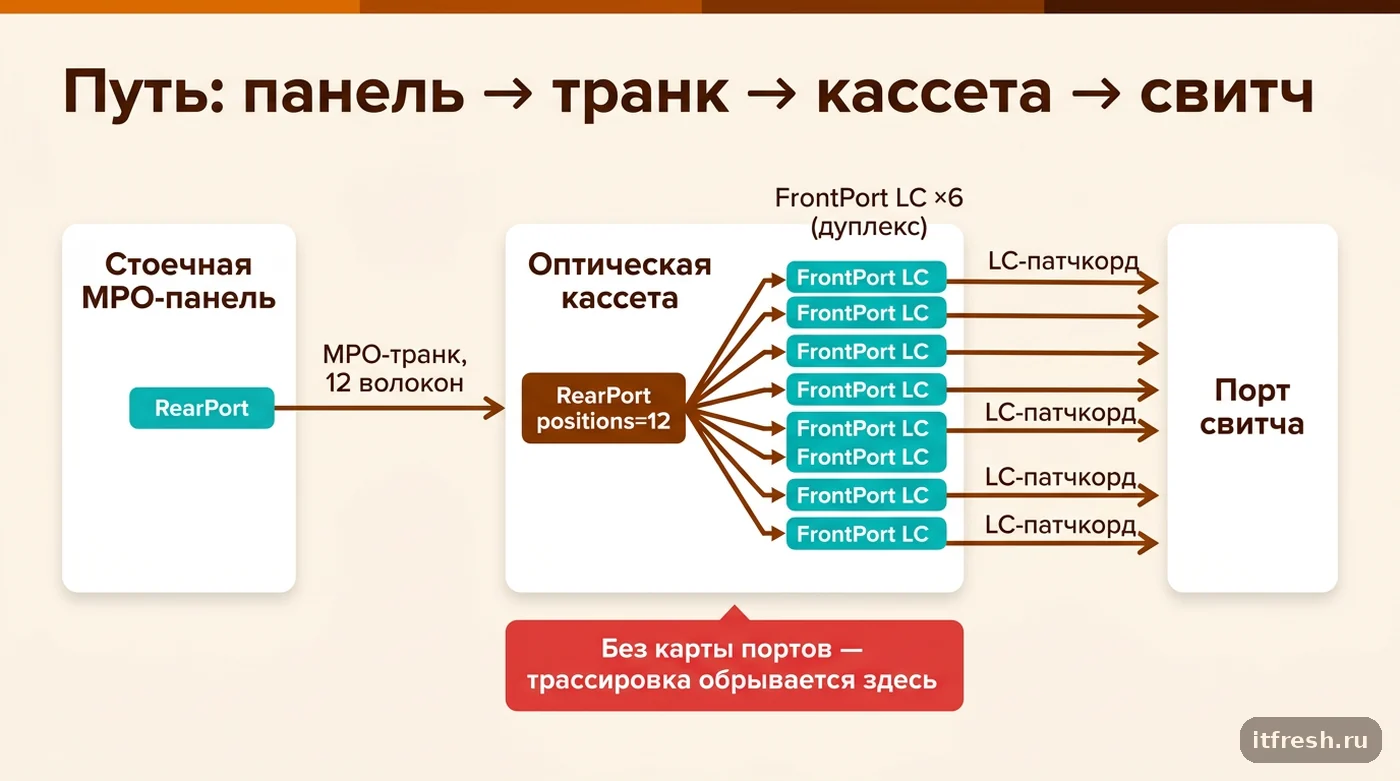 Схема физической цепи от MPO-панели через транк и кассету до порта свитча в NetBox