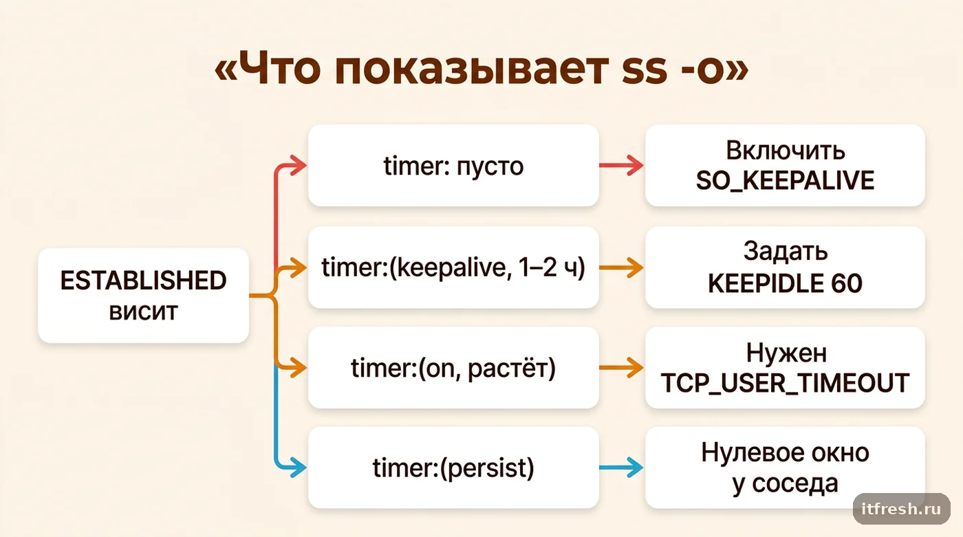 Дерево решений по колонке таймера ss: когда нужен SO_KEEPALIVE, KEEPIDLE или TCP_USER_TIMEOUT