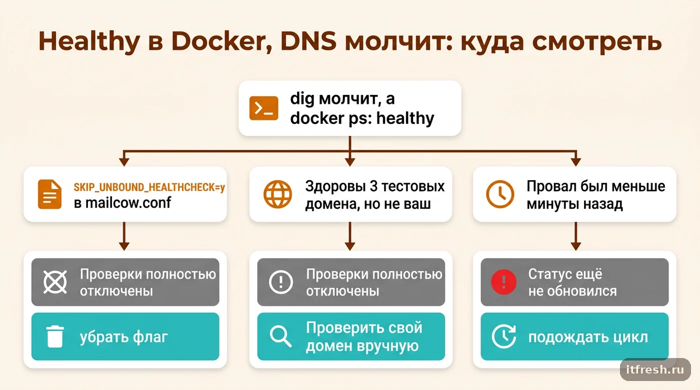 Дерево решений: три причины расхождения между healthy в Docker и реальным отказом DNS в unbound-mailcow