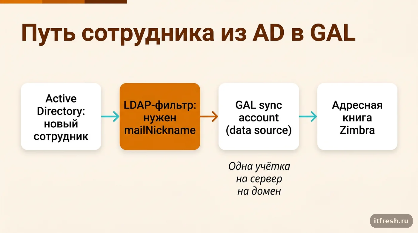 Схема пути данных сотрудника от Active Directory через GAL sync account до адресной книги Zimbra